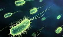 地球上的最后一句话