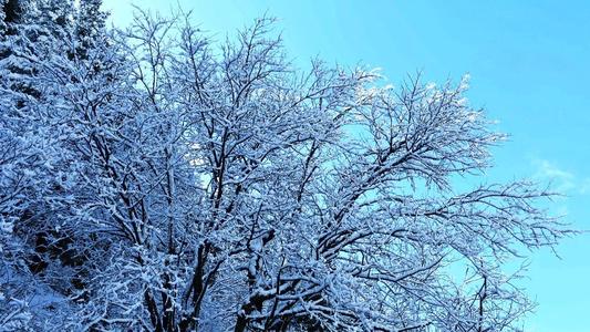 美是风和雪