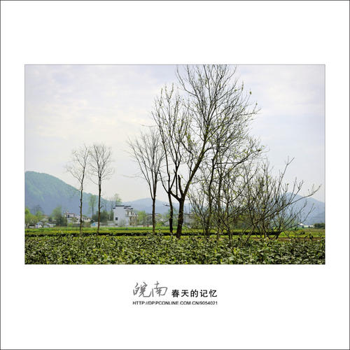 春节记忆