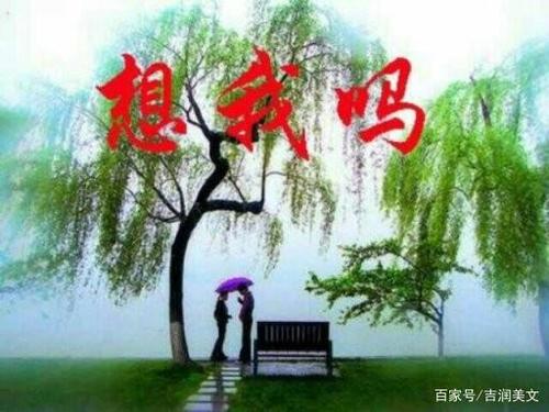 友谊就像一个微风