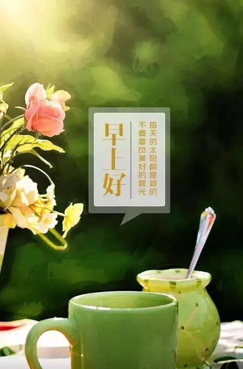 阅读母亲的平静