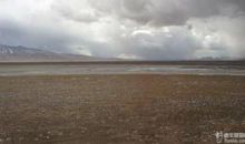 有你同行，太棒了