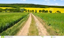 走在春天的山路上