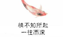 情不知所起，一往而深