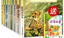 《66号警犬》读后感