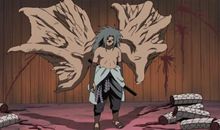 那一双翅膀让我追寻