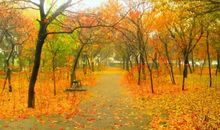 太原之秋的魅力