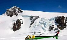 追逐生命的冬季