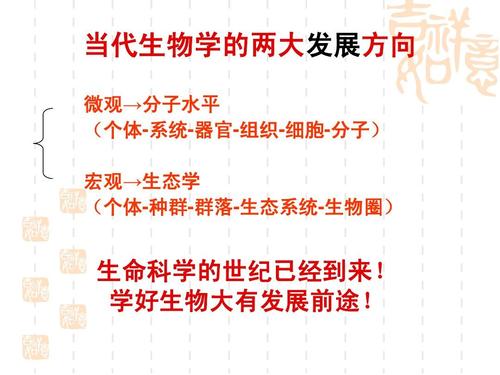 有趣的生活_500字