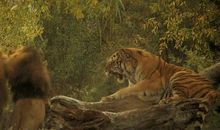 初三的“下马威”