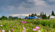 我发现了乡村的美