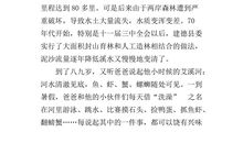 初二写景作文：思念·野花香_700字