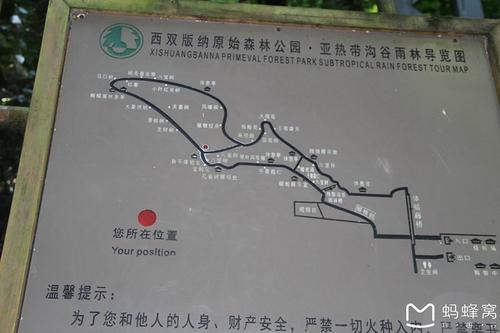 冬天，有趣的东西 - 西双版纳旅行