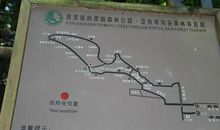 寒假趣事——西双版纳之旅