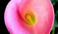 像纸风车一样前行