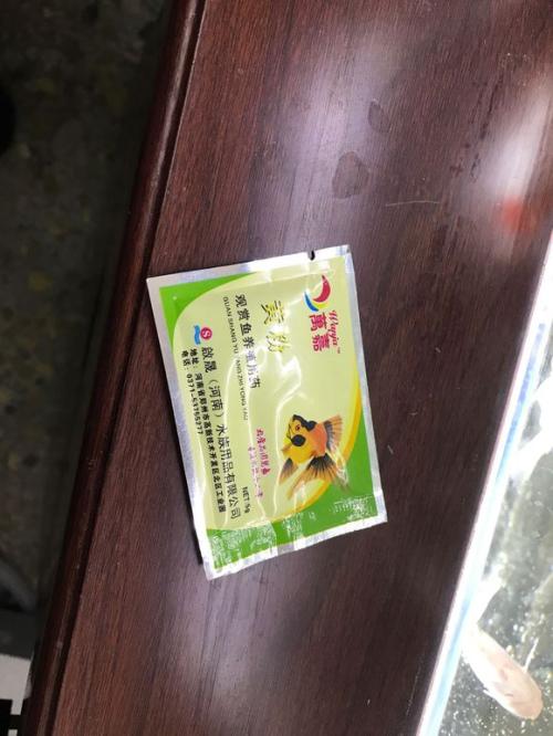 滋补金鱼日记_1200字
