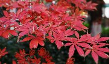 美，就在你身边