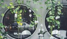 莫让时光匆匆流过