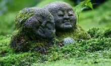 近窗人，我想对你说