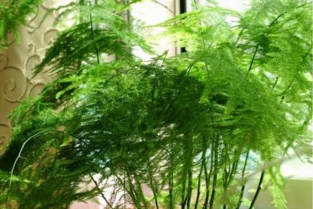 愿学习