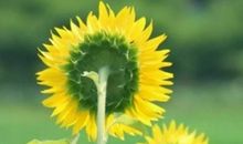 你给我的，最纯粹的温暖