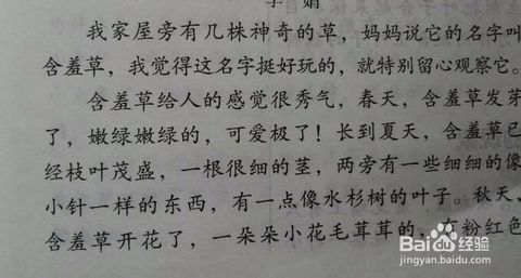 我最终可以记录日记_500字