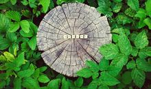 表面之下的本质