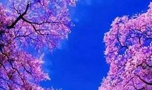 想念有你的日子