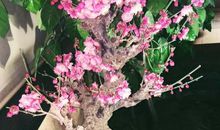 捕捉文化的幽香