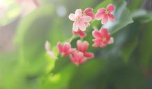 诚如三月春风，信如五月阳光