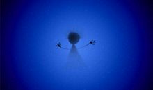 让生命中磨难中闪光