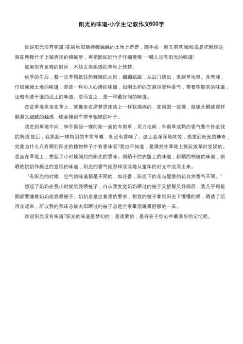 阳光味道_500字