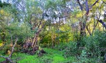 幽静也是一种美