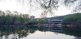 美丽的王熙公园