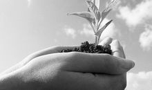 生命“诚”可贵