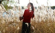 风，让我思绪纷飞