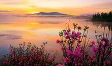 放弃是一种境界