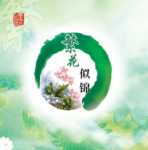 这似乎是她