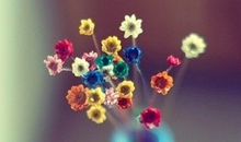 守望是一种境界