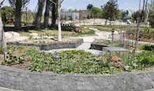 百草园外的春天