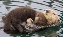 妈妈让我感到温暖