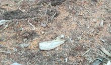 追寻那渐远的故乡的味道