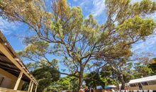 繁华深处没有家