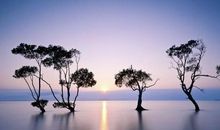 超越自己是一种境界