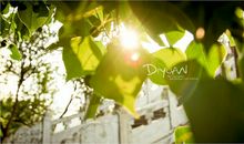 母爱是夏日的凉风