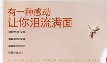 总有一种感动让你泪流满面