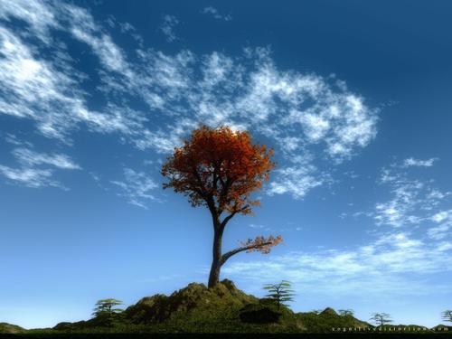 tree