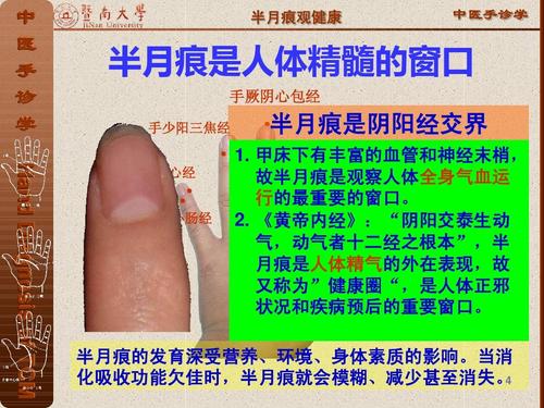 半月脚
