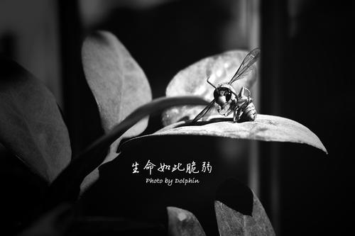 我没想到生活是如此脆弱。