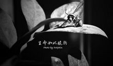 没想到生命如此脆弱